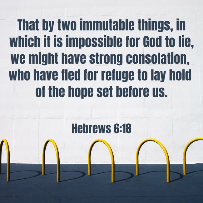 That by two immutable things, in which it is impossible for God to lie, we might have strong consolation, who have fled for refuge to lay hold of the hope set before us. - Hebrews 6:18