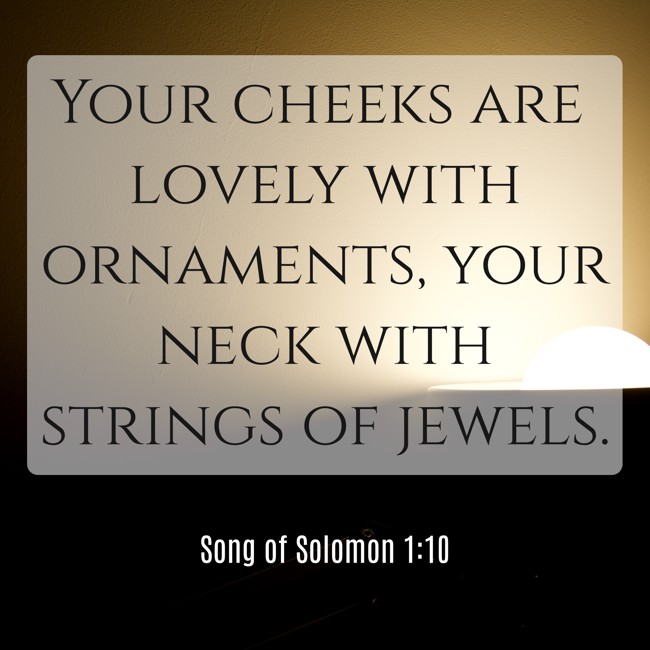 Your cheeks are lovely with ornaments, your neck with strings of jewels. - Song of Solomon 1:10