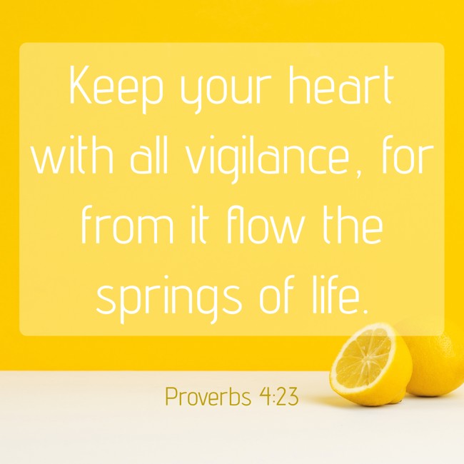 Keep your heart with all vigilance, for from it flow the springs of life. - Proverbs 4:23