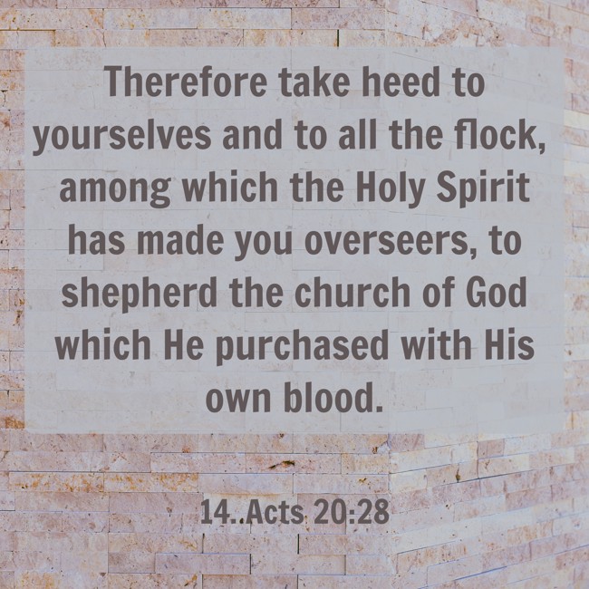 Therefore take heed to yourselves and to all the flock, among which the Holy Spirit has made you overseers, to shepherd the church of God which He purchased with His own blood. - 14. Acts 20:28