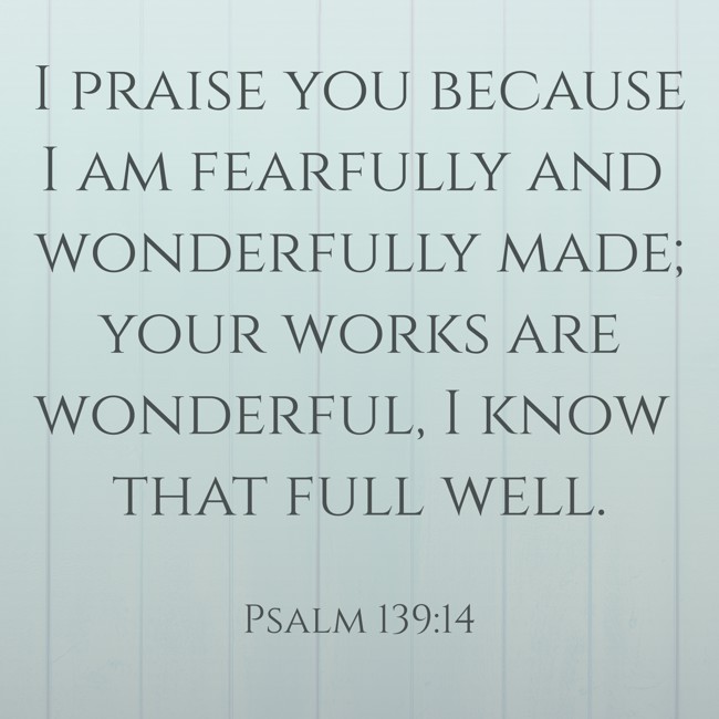 I praise you because I am fearfully and wonderfully made; your works are wonderful, I know that full well. - Psalm 139:14