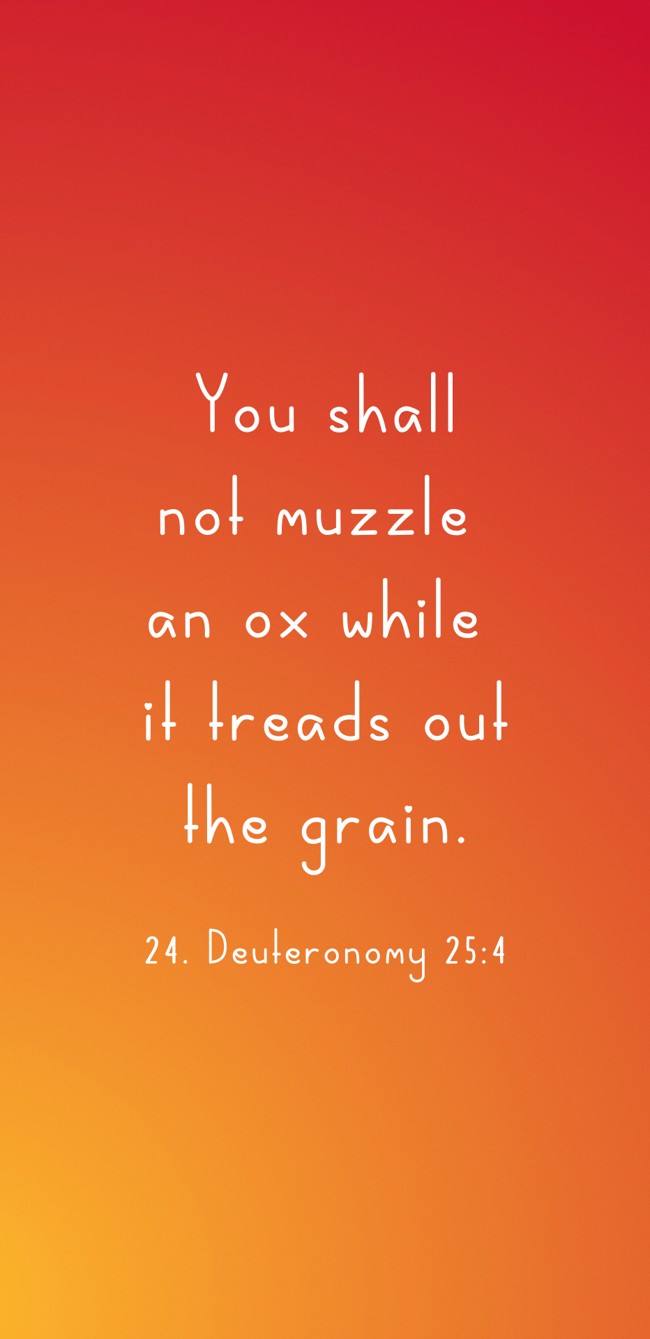 You shall not muzzle an ox while it treads out the grain. - 24. Deuteronomy 25:4
