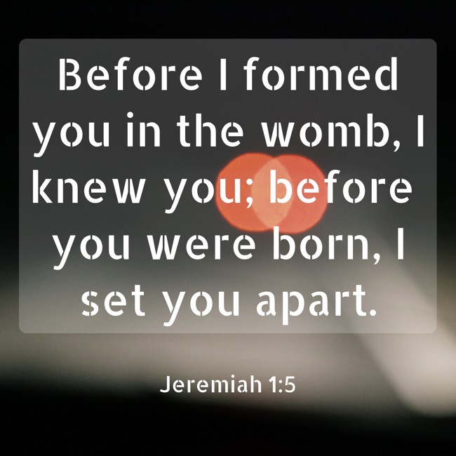  Before I formed you in the womb, I knew you; before you were born, I set you apart.   - Jeremiah 1:5 