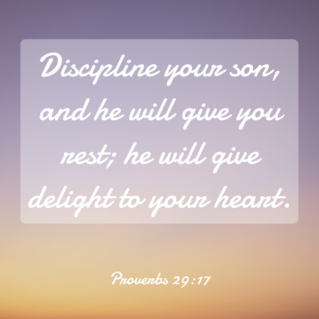 Discipline your son, and he will give you rest; he will give delight to your heart.   - Proverbs 29:17 