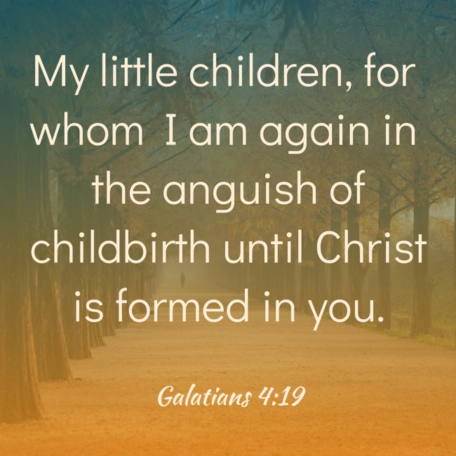 My little children, for whom I am again in the anguish of childbirth until Christ is formed in you.   - Galatians 4:19 