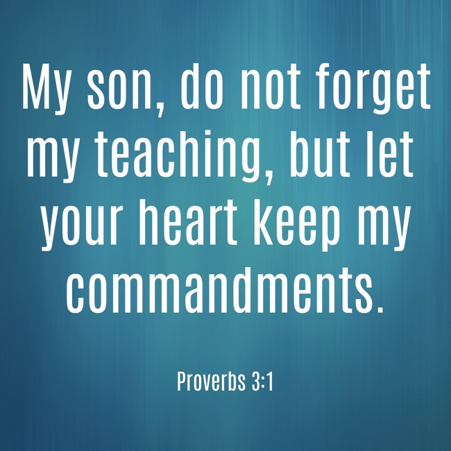  My son, do not forget my teaching, but let your heart keep my commandments.   - Proverbs 3:1 