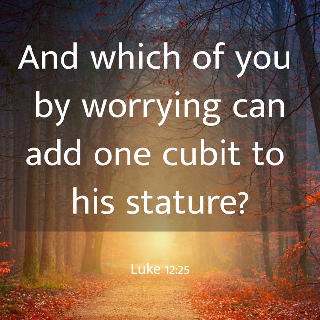And which of you by worrying can add one cubit to his stature? - Luke 12:25