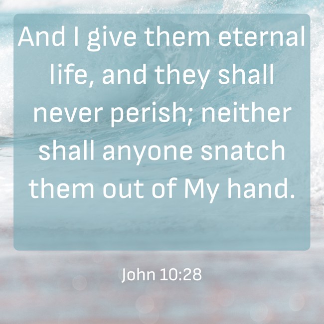 And I give them eternal life, and they shall never perish; neither shall anyone snatch them out of My hand. - John 10:28