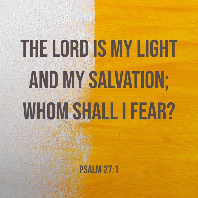  The LORD is my light and my salvation; whom shall I fear?   - Psalm 27:1 