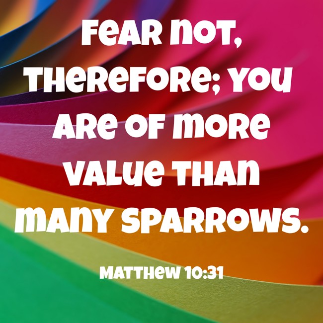  Fear not, therefore; you are of more value than many sparrows.   - Matthew 10:31 