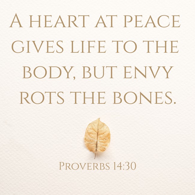 A heart at peace gives life to the body, but envy rots the bones. - Proverbs 14:30