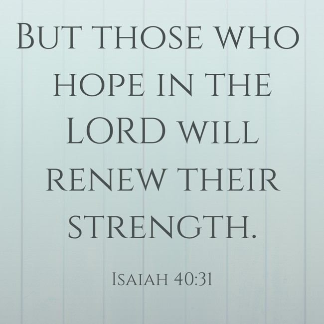 But those who hope in the LORD will renew their strength. - Isaiah 40:31