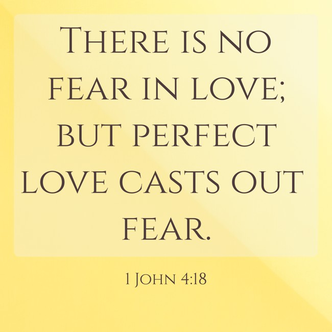  There is no fear in love; but perfect love casts out fear.   - 1 John 4:18 