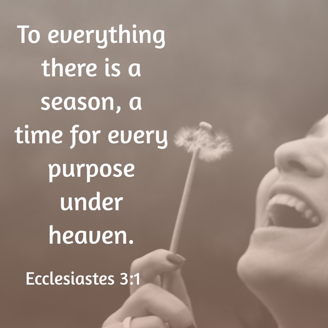 To everything there is a season, a time for every purpose under heaven. - Ecclesiastes 3:1