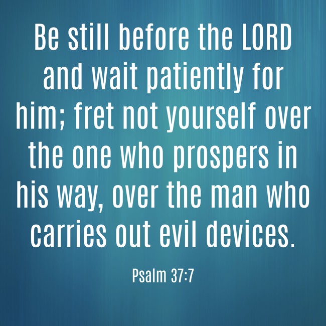 Be still before the LORD and wait patiently for him; fret not yourself over the one who prospers in his way, over the man who carries out evil devices. - Psalm 37:7