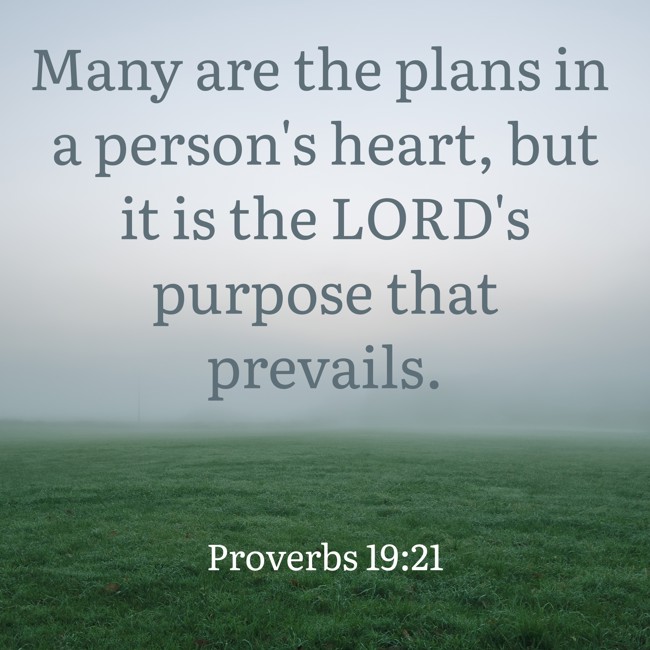 Many are the plans in a person's heart, but it is the LORD's purpose that prevails. - Proverbs 19:21
