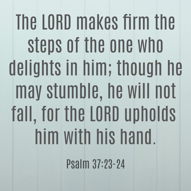 The LORD makes firm the steps of the one who delights in him; though he may stumble, he will not fall, for the LORD upholds him with his hand. - Psalm 37:23-24