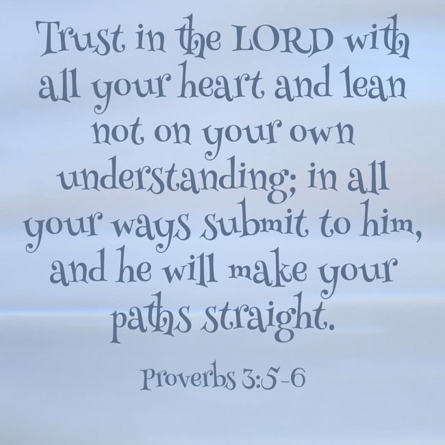 Trust in the LORD with all your heart and lean not on your own understanding; in all your ways submit to him, and he will make your paths straight. - Proverbs 3:5-6