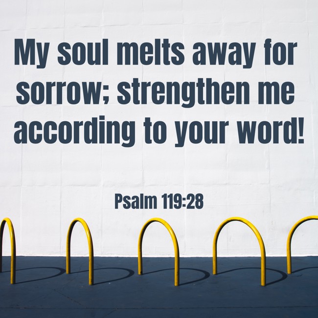 My soul melts away for sorrow; strengthen me according to your word! - Psalm 119:28