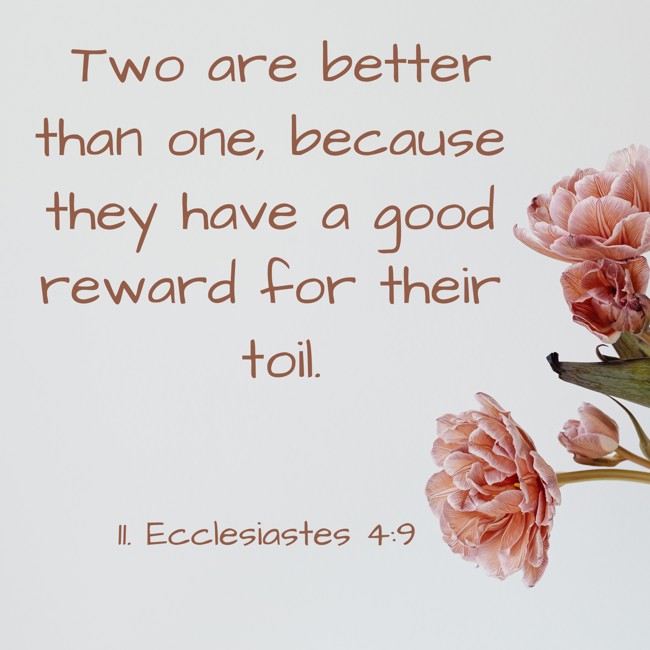 Two are better than one, because they have a good reward for their toil. - 11. Ecclesiastes 4:9