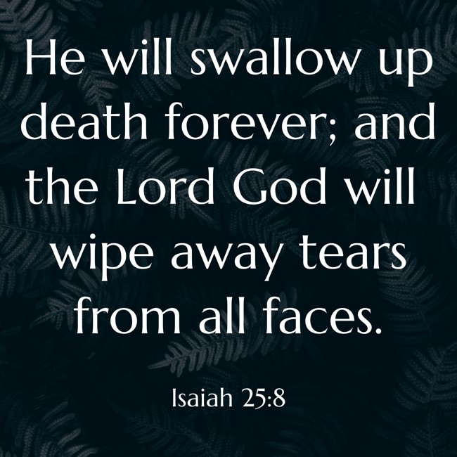 He will swallow up death forever; and the Lord God will wipe away tears from all faces. - Isaiah 25:8