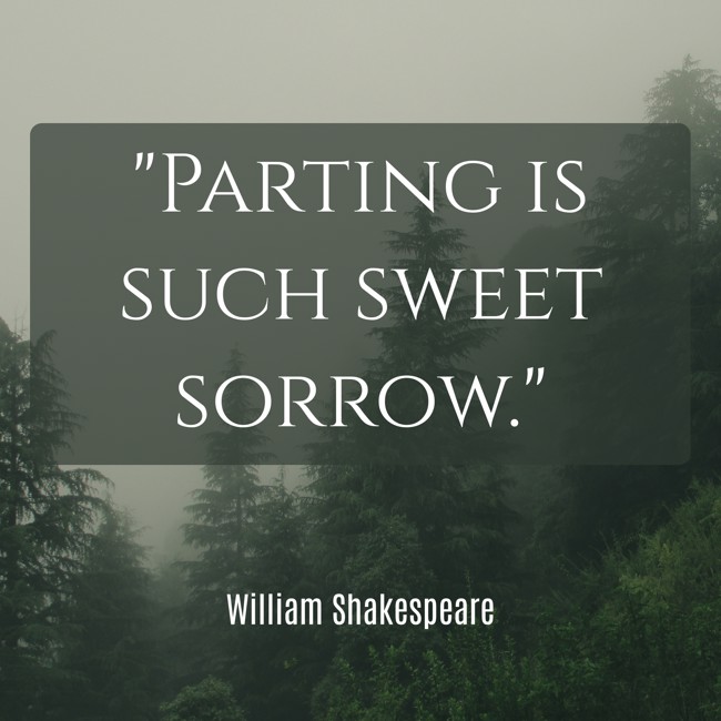 Parting is such sweet sorrow. - William Shakespeare