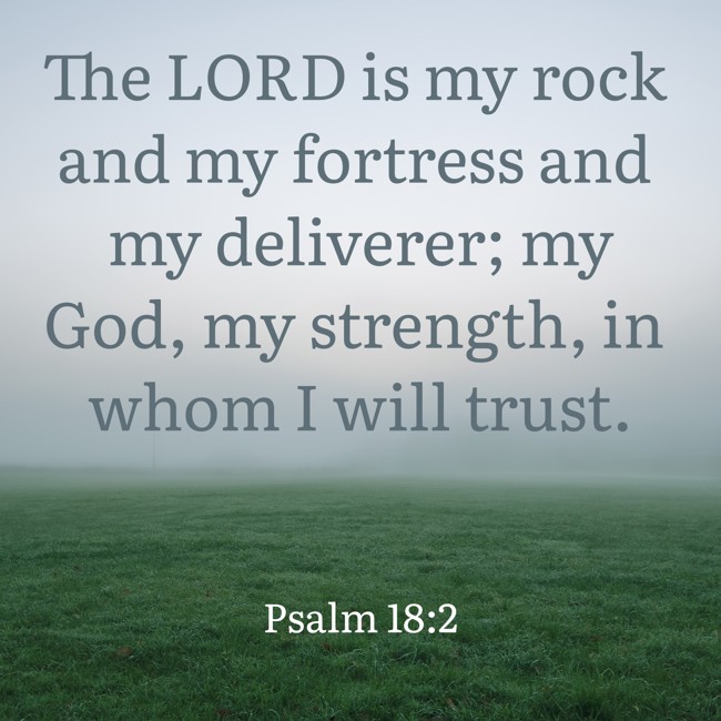 The LORD is my rock and my fortress and my deliverer; my God, my strength, in whom I will trust. - Psalm 18:2