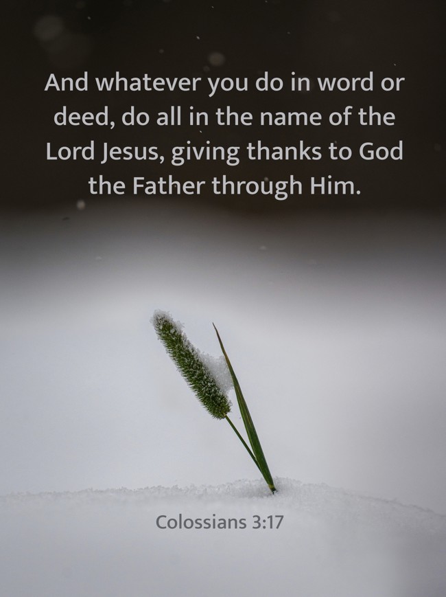 And whatever you do in word or deed, do all in the name of the Lord Jesus, giving thanks to God the Father through Him. - Colossians 3:17