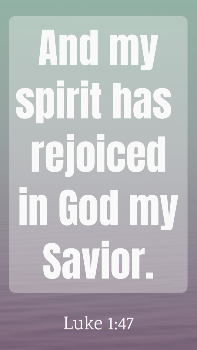 And my spirit has rejoiced in God my Savior. - Luke 1:47