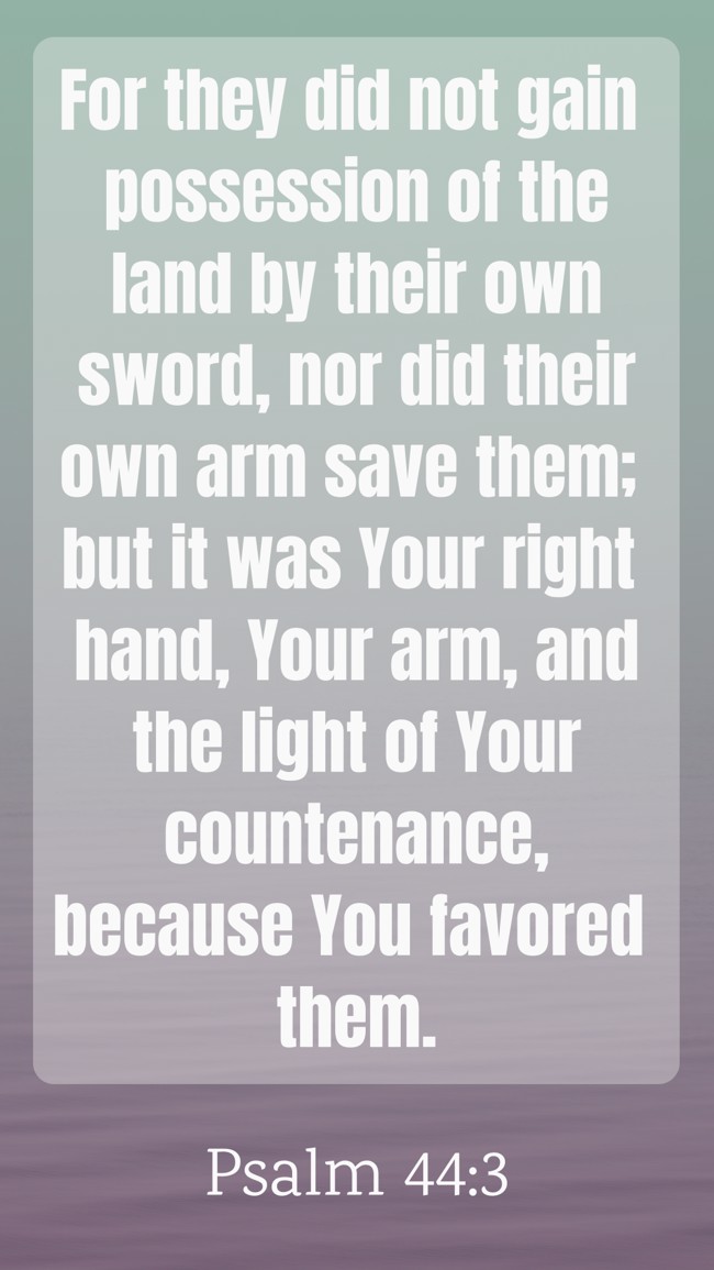 For they did not gain possession of the land by their own sword, nor did their own arm save them; but it was Your right hand, Your arm, and the light of Your countenance, because You favored them. - Psalm 44:3