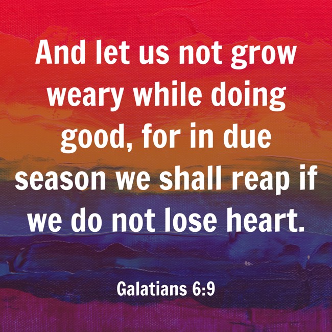 And let us not grow weary while doing good, for in due season we shall reap if we do not lose heart. - Galatians 6:9
