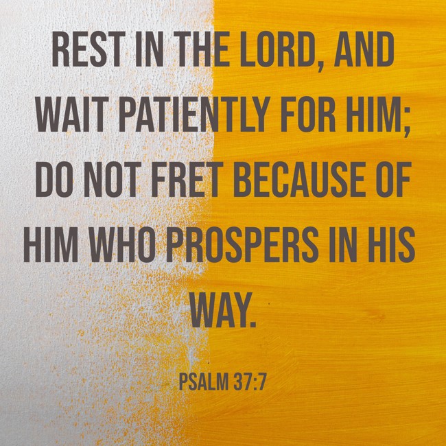 Rest in the LORD, and wait patiently for Him; do not fret because of him who prospers in his way. - Psalm 37:7