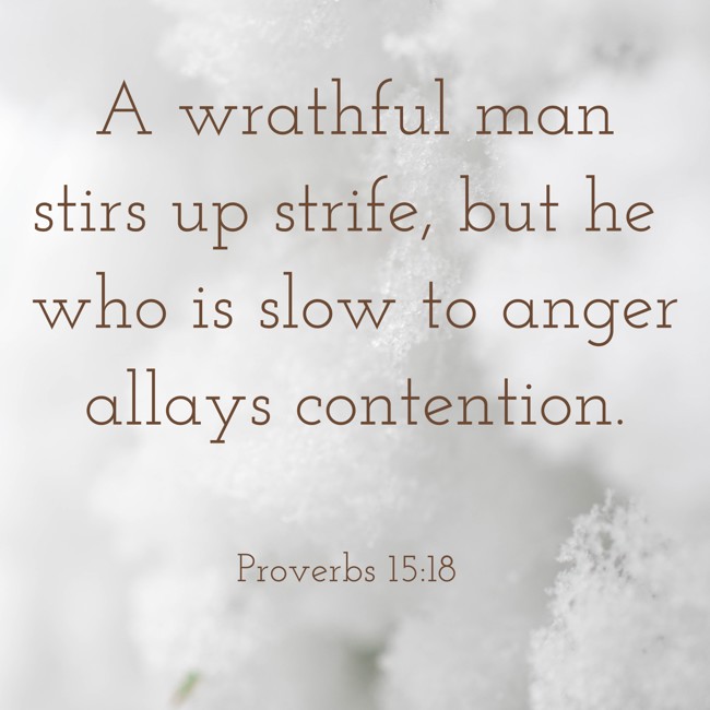 A wrathful man stirs up strife, but he who is slow to anger allays contention. - Proverbs 15:18