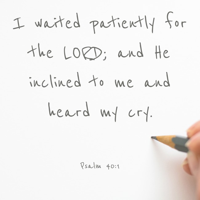 I waited patiently for the LORD; and He inclined to me and heard my cry. - Psalm 40:1