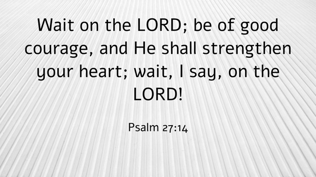 Wait on the LORD; be of good courage, and He shall strengthen your heart; wait, I say, on the LORD! - Psalm 27:14