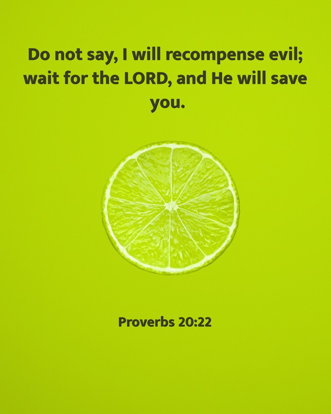 Do not say, I will recompense evil; wait for the LORD, and He will save you. - Proverbs 20:22