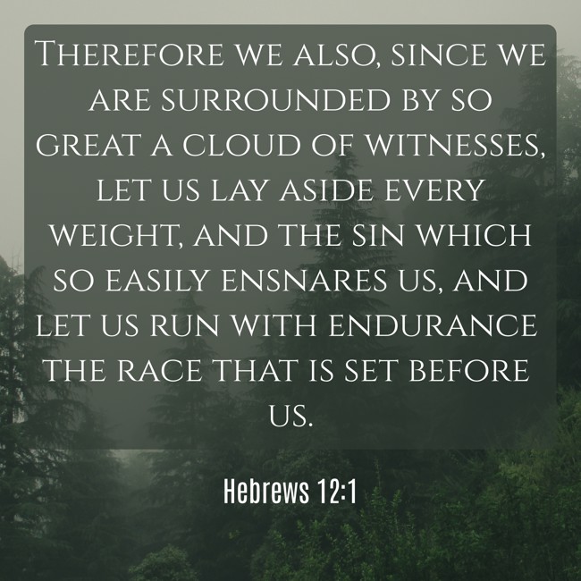 Therefore we also, since we are surrounded by so great a cloud of witnesses, let us lay aside every weight, and the sin which so easily ensnares us, and let us run with endurance the race that is set before us. - Hebrews 12:1