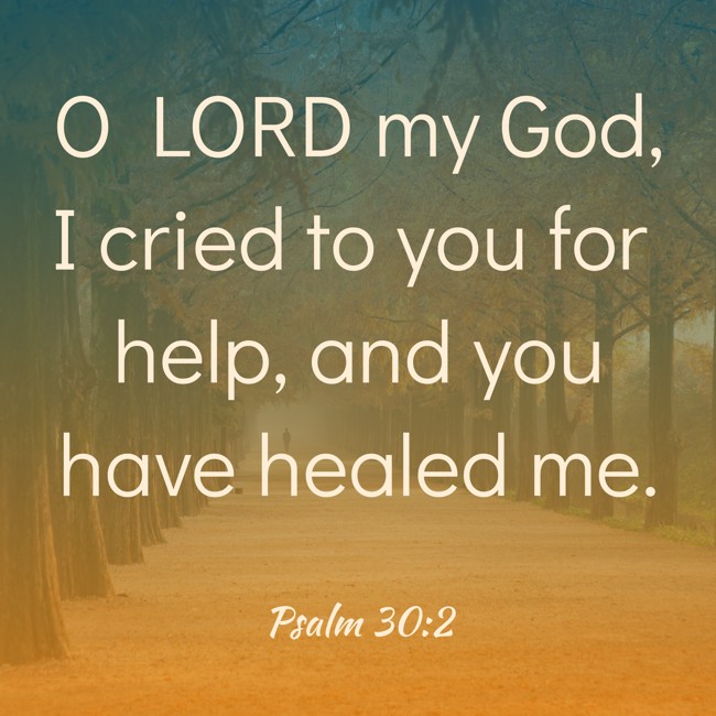 O LORD my God, I cried to you for help, and you have healed me. - Psalm 30:2