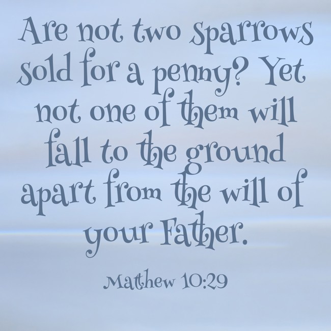  Are not two sparrows sold for a penny? Yet not one of them will fall to the ground apart from the will of your Father.   - Matthew 10:29 