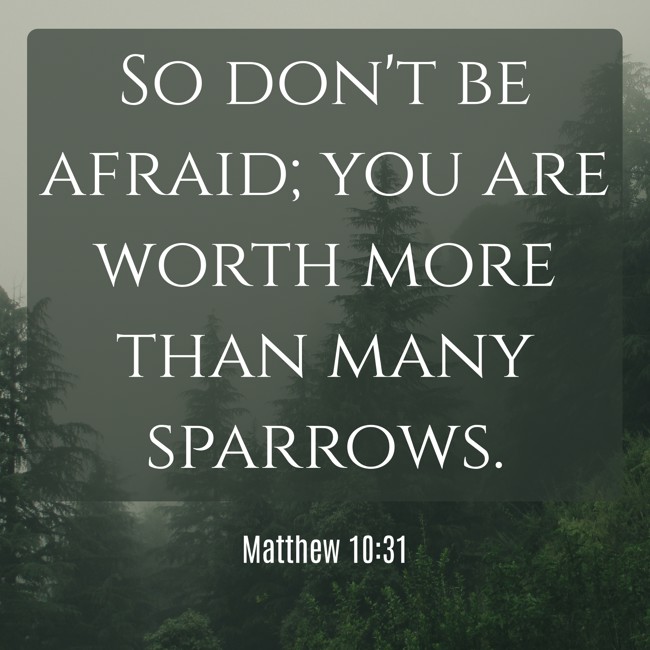  So don't be afraid; you are worth more than many sparrows.   - Matthew 10:31 