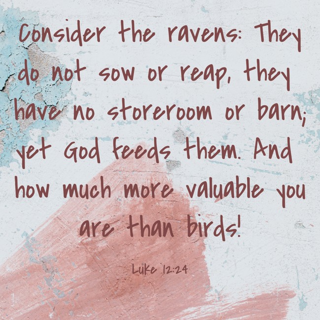  Consider the ravens: They do not sow or reap, they have no storeroom or barn; yet God feeds them. And how much more valuable you are than birds!   - Luke 12:24 
