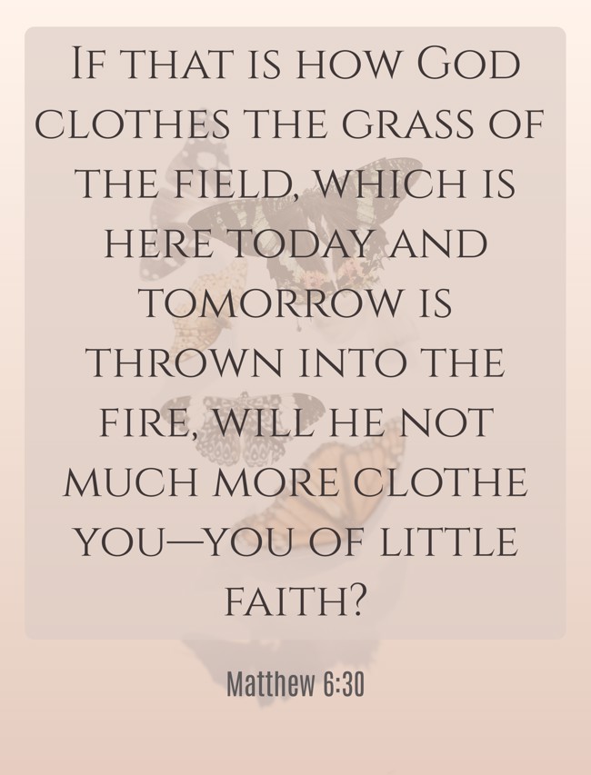  If that is how God clothes the grass of the field, which is here today and tomorrow is thrown into the fire, will he not much more clothe you—you of little faith?   - Matthew 6:30 