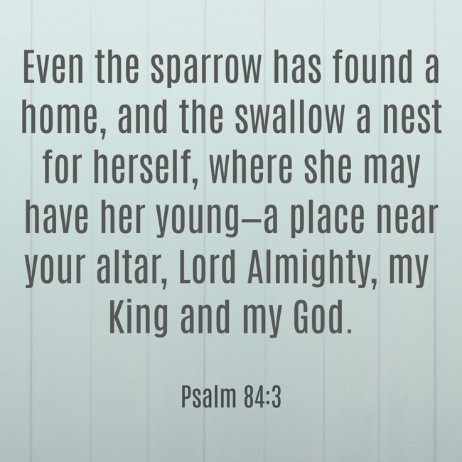 Even the sparrow has found a home, and the swallow a nest for herself, where she may have her young—a place near your altar, Lord Almighty, my King and my God.   - Psalm 84:3 