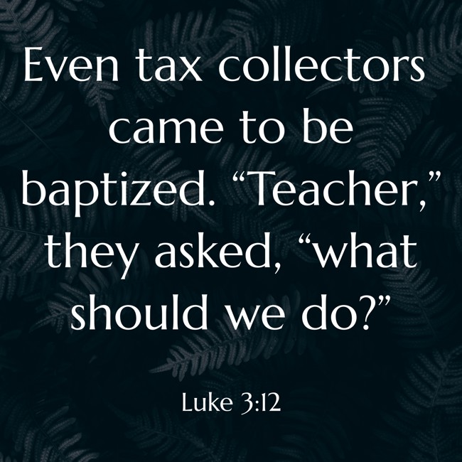  Even tax collectors came to be baptized. “Teacher,” they asked, “what should we do?”   - Luke 3:12 