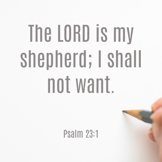 The LORD is my shepherd; I shall not want.   - Psalm 23:1 