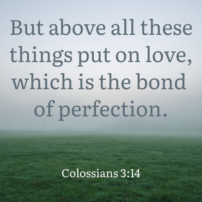 But above all these things put on love, which is the bond of perfection. - Colossians 3:14