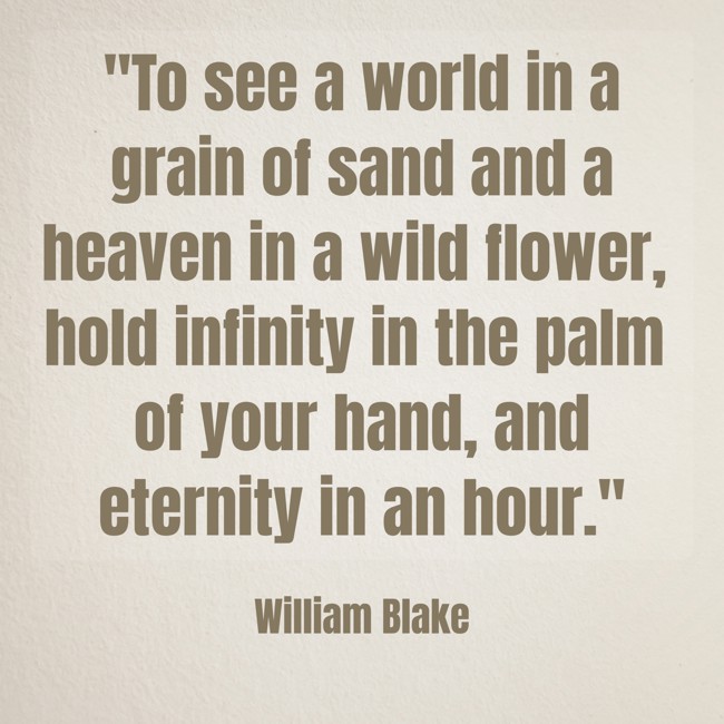  To see a world in a grain of sand and a heaven in a wild flower, hold infinity in the palm of your hand, and eternity in an hour.   - William Blake 