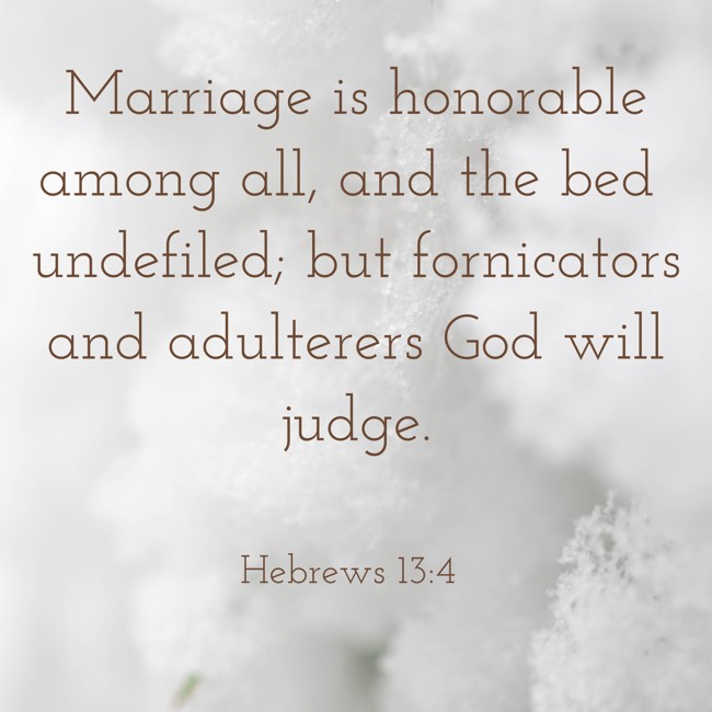 Marriage is honorable among all, and the bed undefiled; but fornicators and adulterers God will judge. - Hebrews 13:4