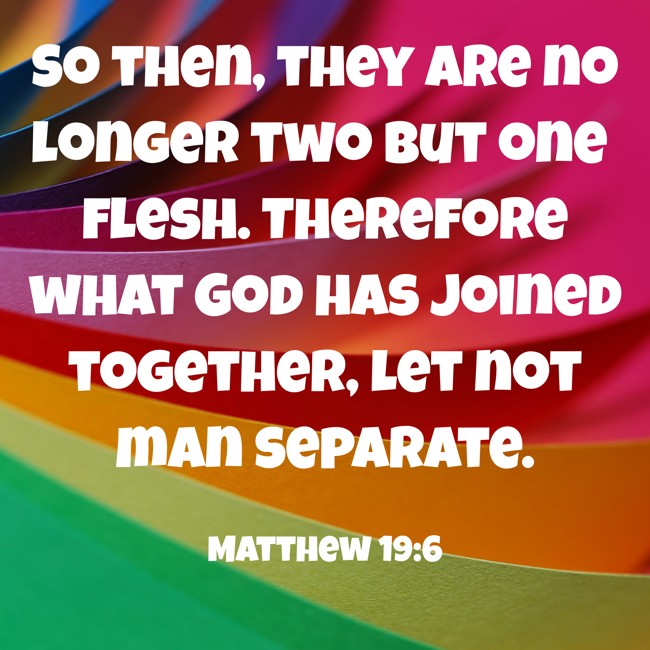 So then, they are no longer two but one flesh. Therefore what God has joined together, let not man separate. - Matthew 19:6