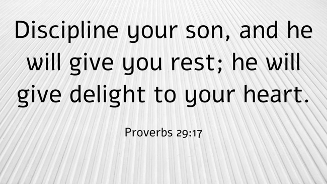  Discipline your son, and he will give you rest; he will give delight to your heart.   - Proverbs 29:17 
